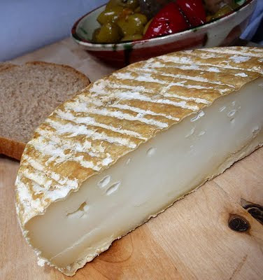 Galette du Larzac cheese