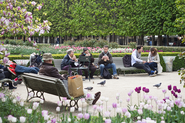 Lunchtime in the Jardin du Palais Royal