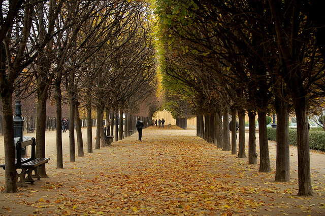 Palais Royal Gardens, Paris